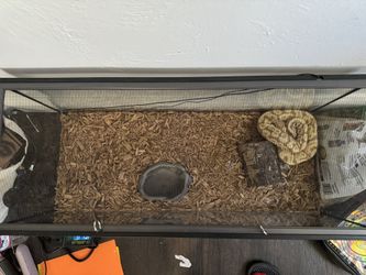 Reptile Enclosure With log Bowl And Heating Pad 