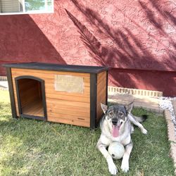 Dog House