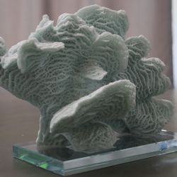 Coral Decoration