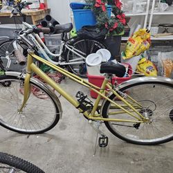 $50 For Both-Two stylish bicycles, perfect for different types of riders!
