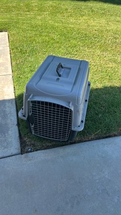 Used Hard Shell Pet Travel Crate Carrier