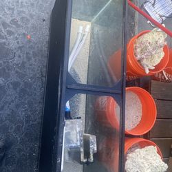 Saltwater Tank/Aquarium