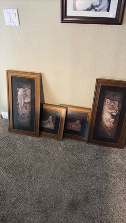 Jungle animal prints