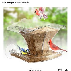 Bird Feeder