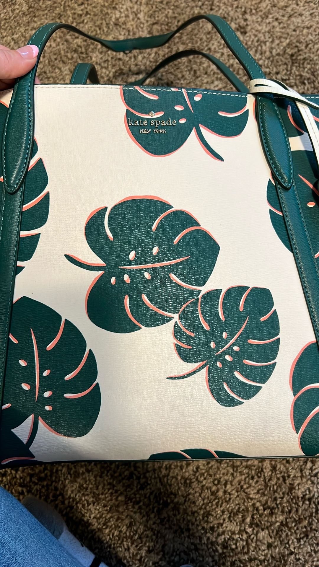 dubia monstera MONSTERA DUBIA