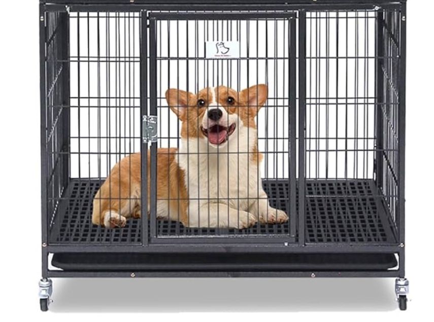 Dog Kennel Need Gone!!