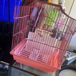 Bird Cage 