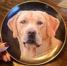Danbury Mint Porcelain Collector Plate Eyes of Love