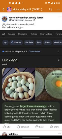 Eggs