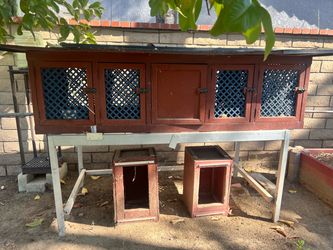 Rabbit Hutch