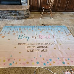 Gender Reveal Party Items