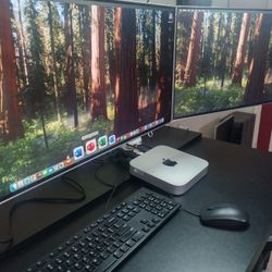 Apple Mac Mini System $200 - Dual 24 Widescreens - Complete $200