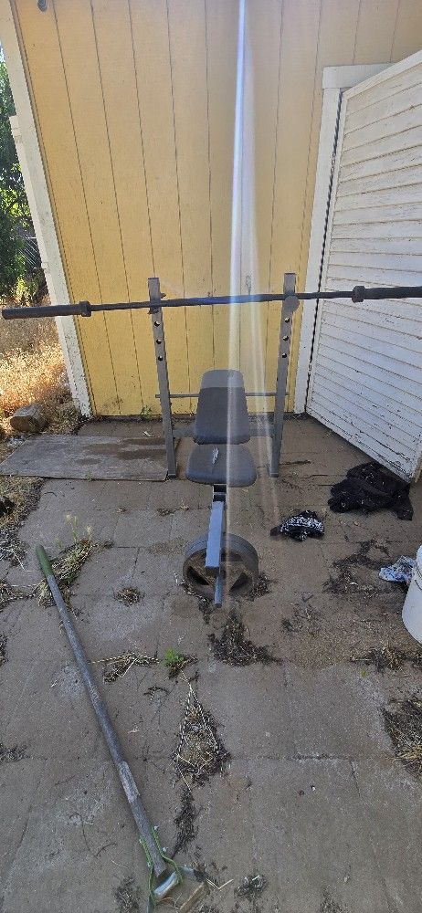 Bench Press With Bar And Weights