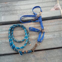 Horse Halter 