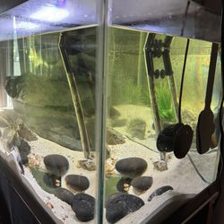 75 Gallon Fish Tank 