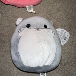 Squishmallow 