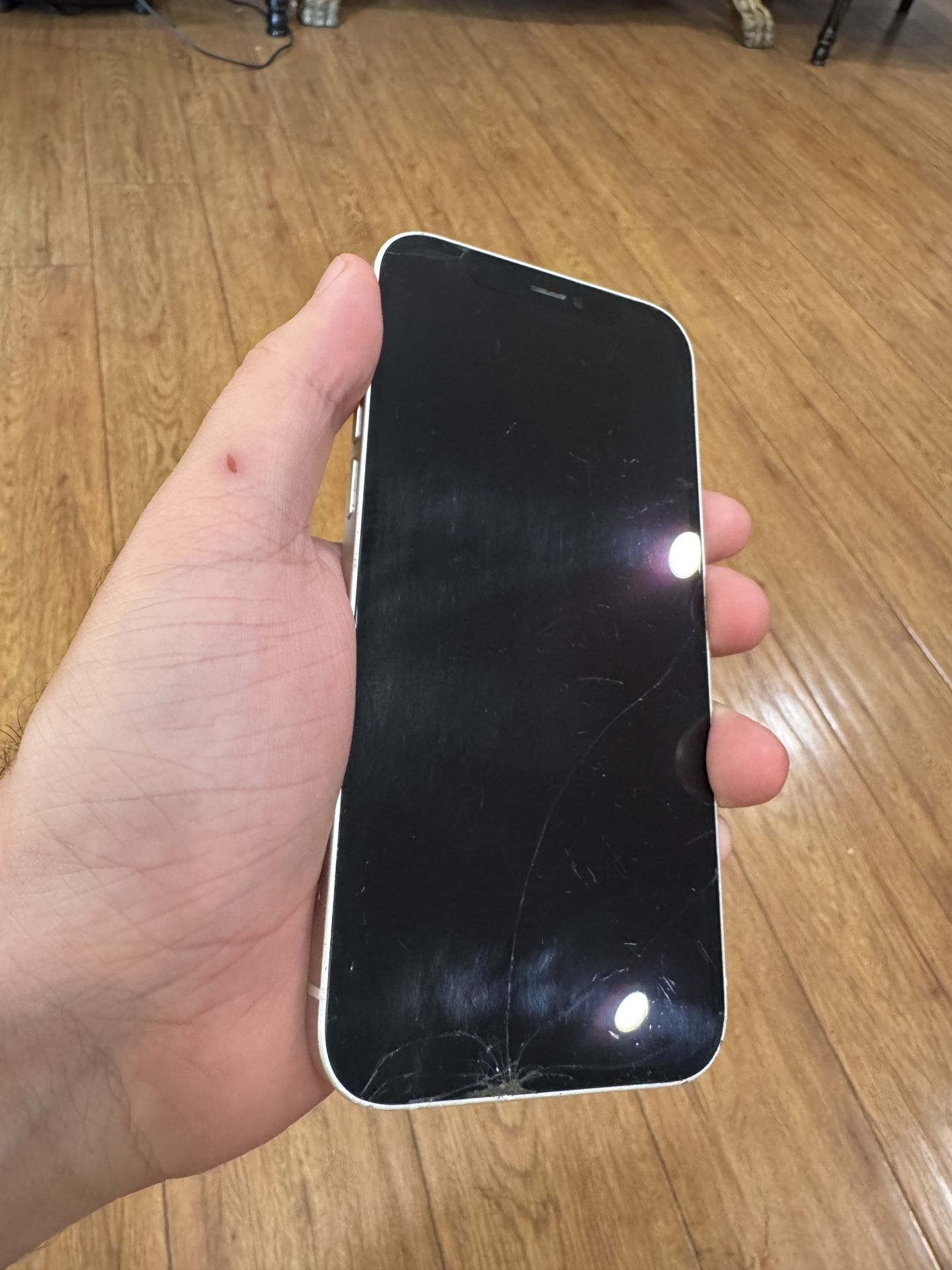 iPhone 12