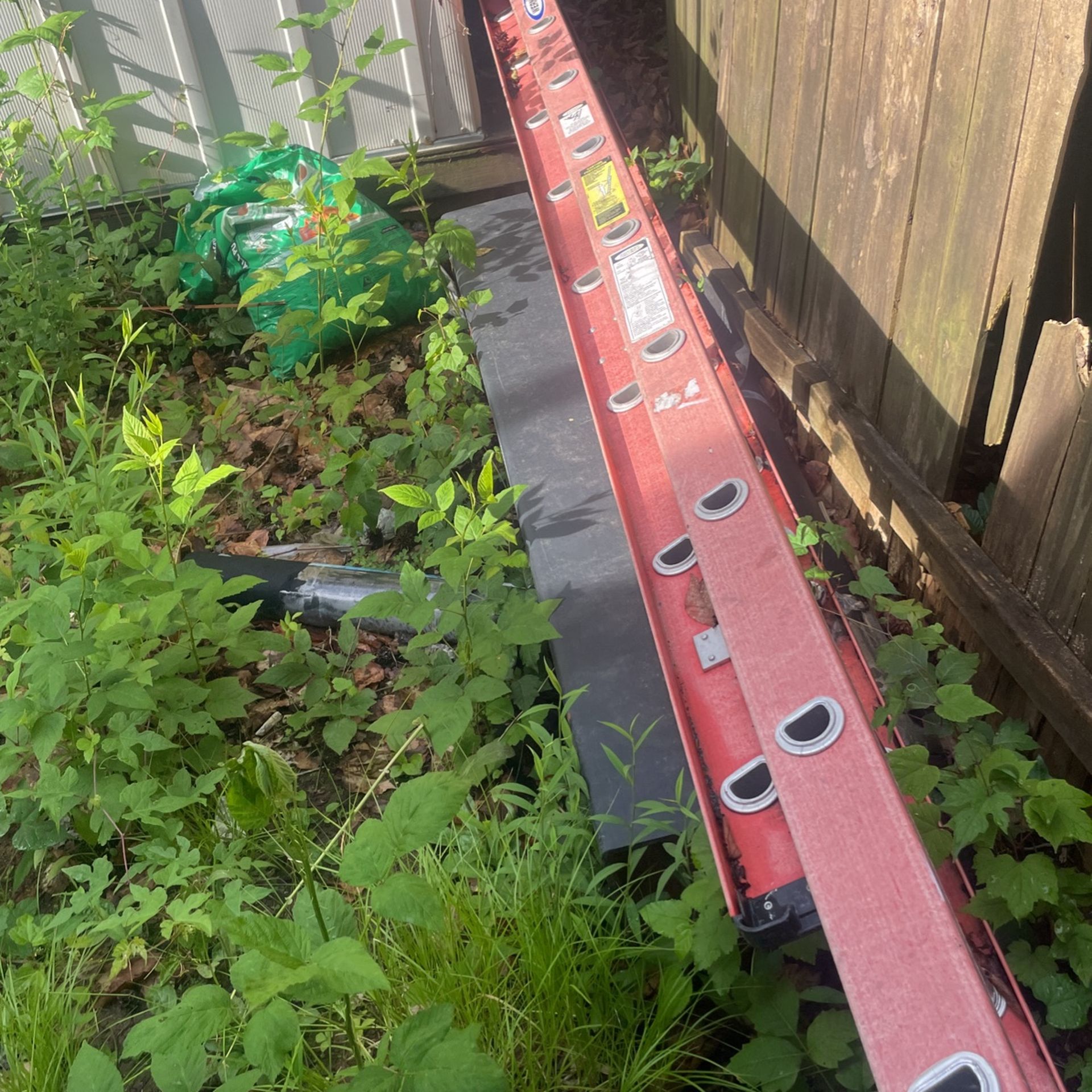 Ladder