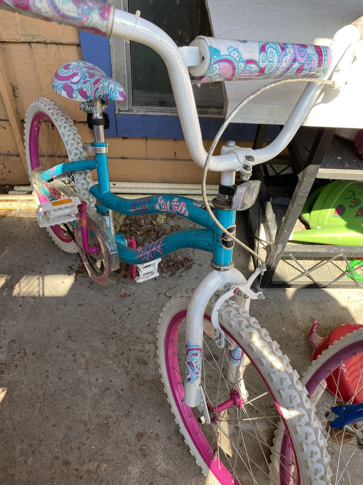 Bicicleta