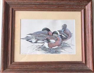 Pair of Framed Wildlife Duck Prints by Pat May – "Pintail Pals" & "Sitting Pretty"