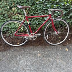 Fuji Cycling Feather Fixie Bike