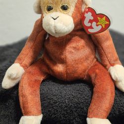 Beanie Baby Both Tags 
