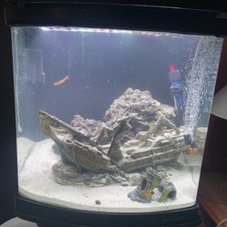 Cube Style Fish Tank Salt Water