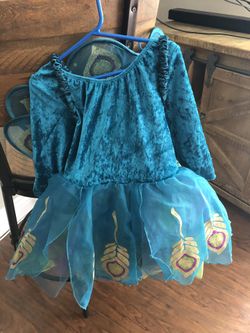 Girls peacock costume