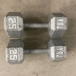 25lb Dumbbells Weights