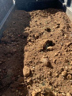 Free Dirt & Free Delivery!