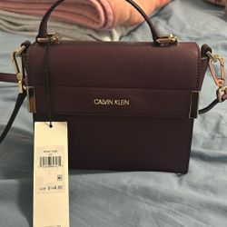 Calvin Klein Purse New