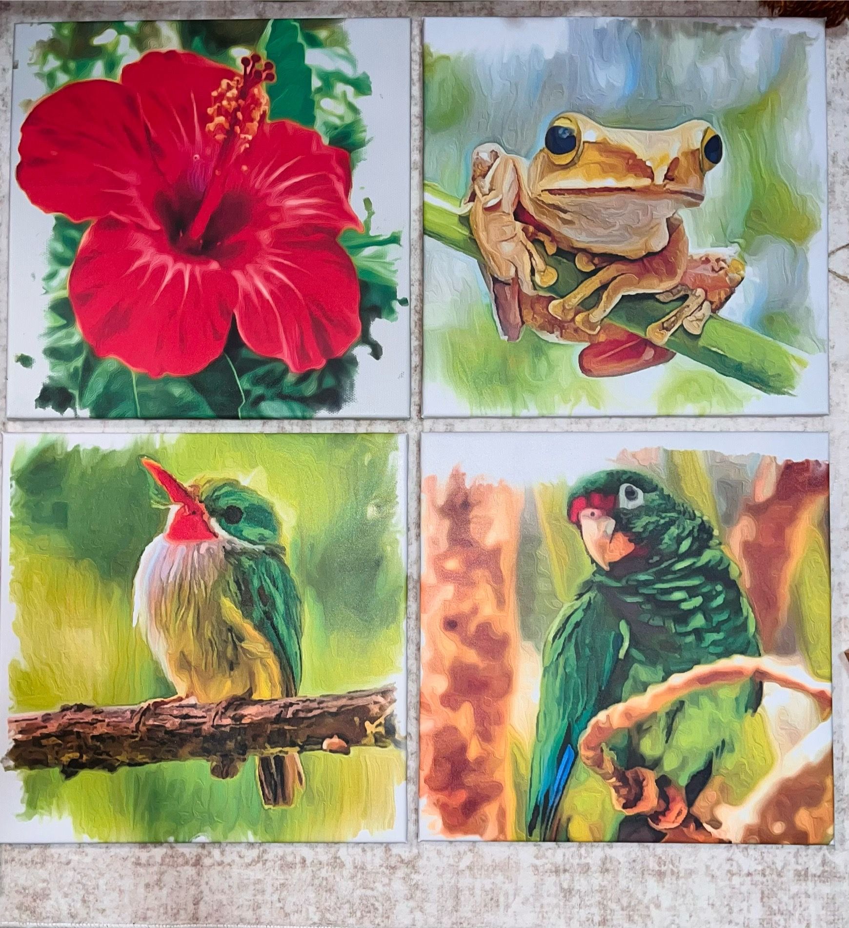 Tropical, set of 4 canvas art