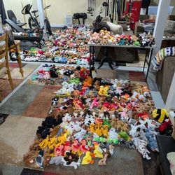 Massive Beanie Collection All Real No Fakes