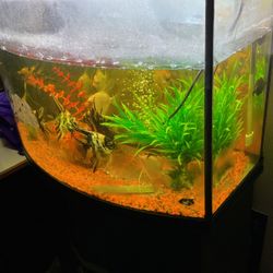 36 Gallon Fish Tank With Stand