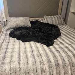 KING MATTRESS WITH BOX SPRING 