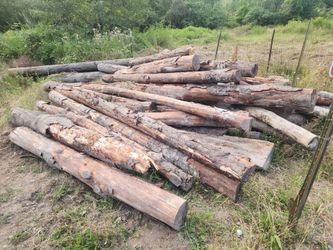 Firewood camping, airbnb, or home.