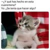 Miss Alejandra