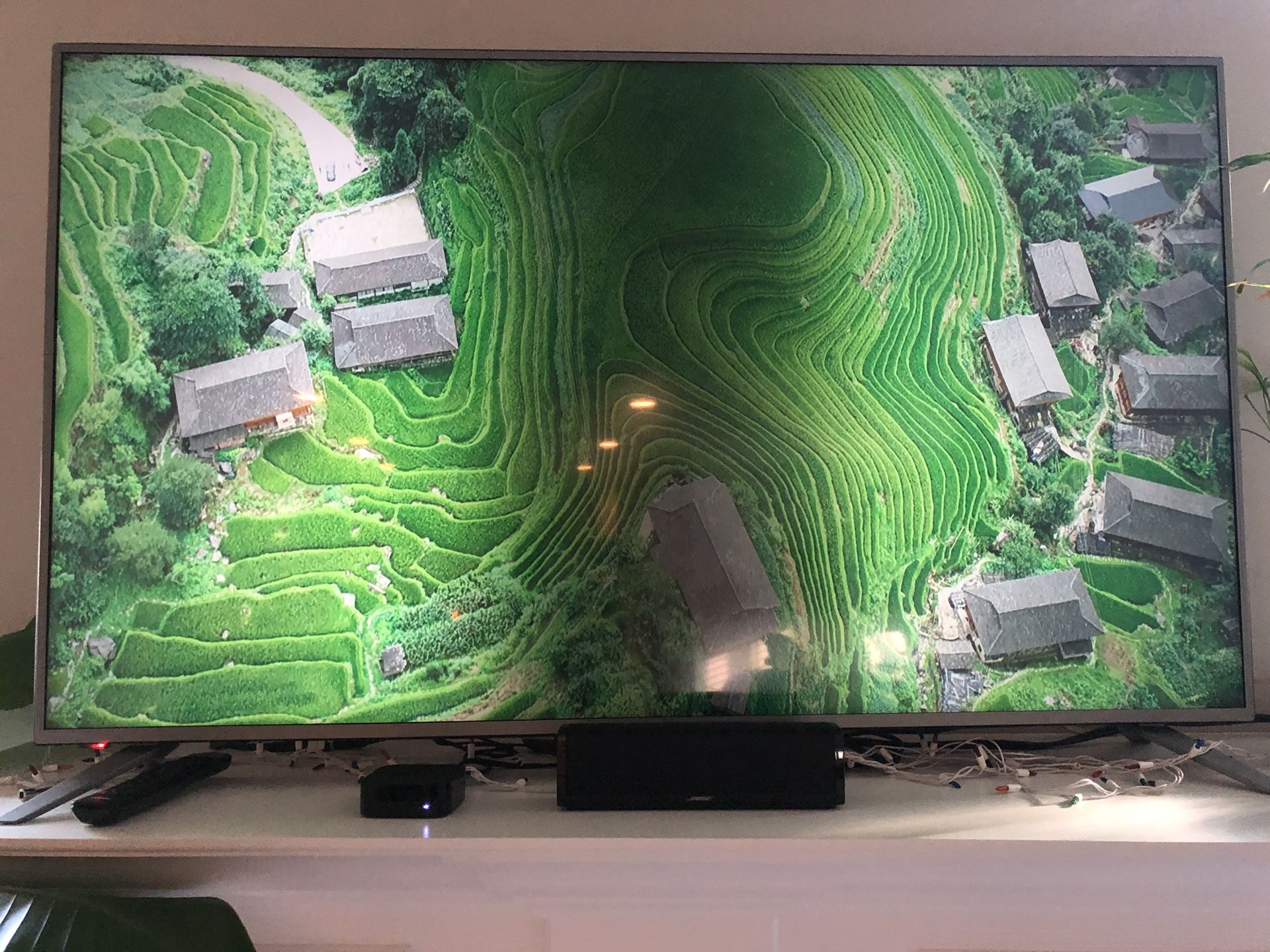 Smart TV Panasonic 65” led tv w/stripe on center of screen