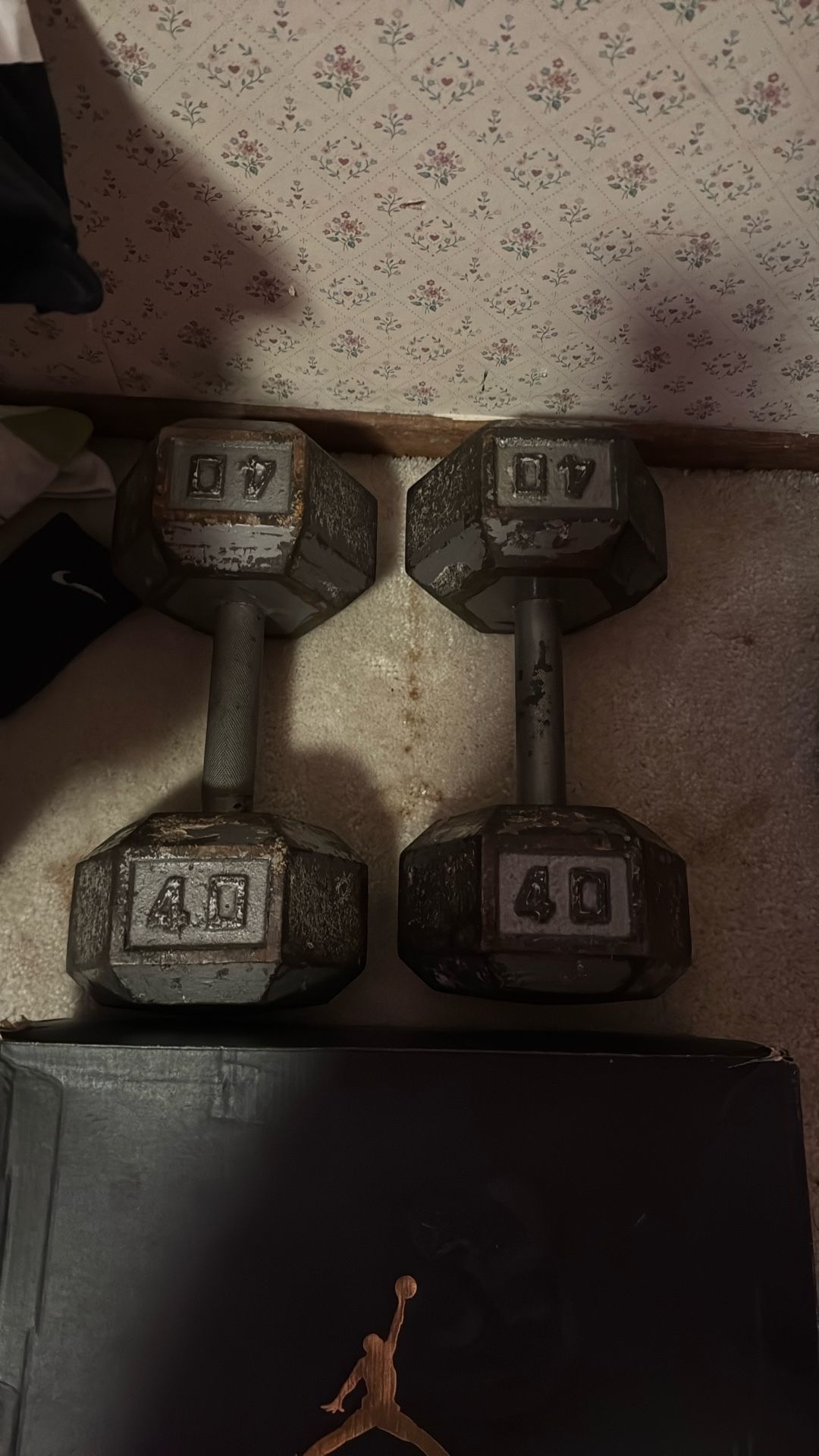 40 lb Dumbbells