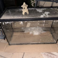 30 Gallon Fish tank