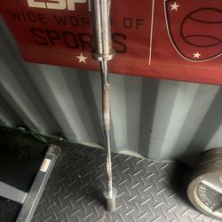 Olympic Curl Barbell 