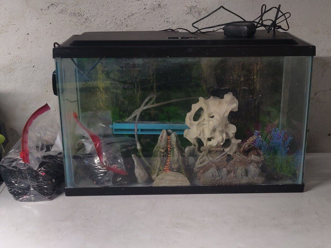 10 Gallon  Fish Tank 