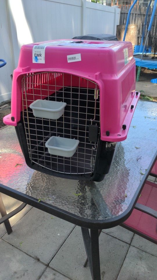 Kennel