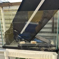 20 Gallon Fish Tank