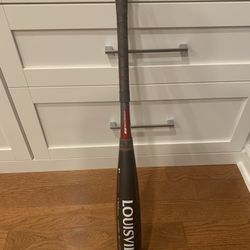 Baseball Bat For Sale 