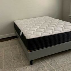 Medium Plush NEW Hybrid Mattress