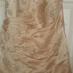 Strapless Wedding Dress Champagne (size 14) Style V3179
