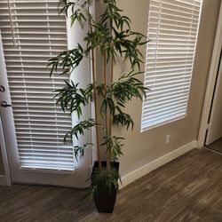 Artificial plant