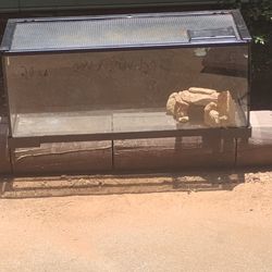 20 Gallon Aquarium/Terrarium 