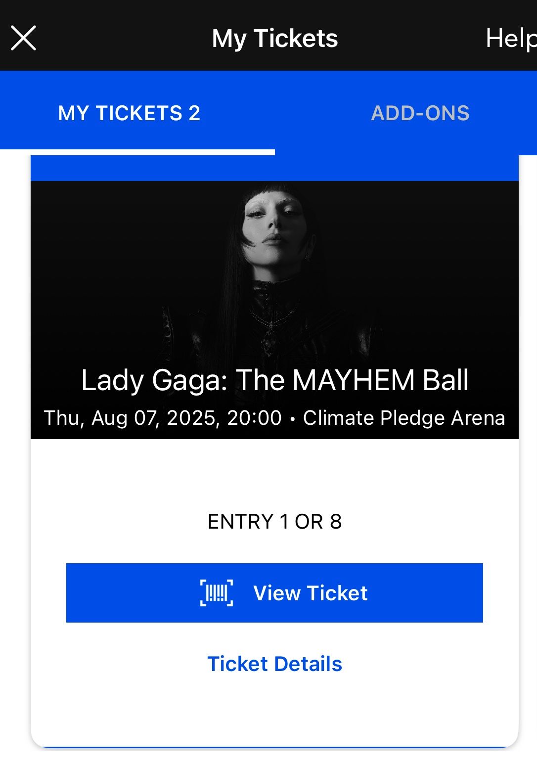 Lady Gaga Tour Ticket